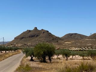 Finca rústica a Jumilla. Parcela rústica en jimena, jumilla
