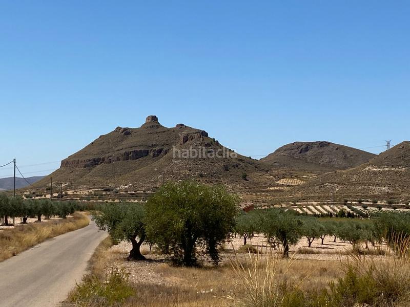 Foto 27b34c4c-bac4-4f6e-976a-43ae3ffdb383. Finca rústica a Jumilla