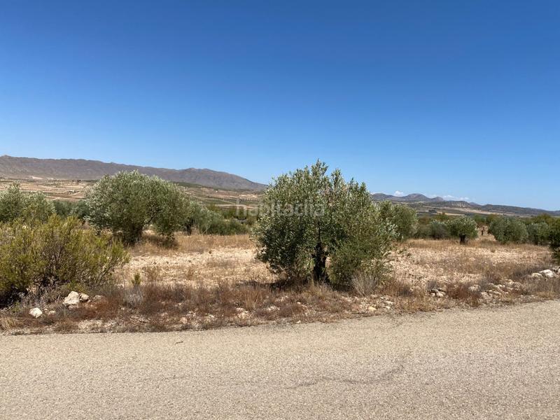 Foto 95dcd58e-1c0a-411e-9fec-a5255ad020cd. Finca rústica a Jumilla