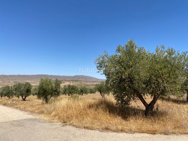 Foto 98b6a715-1b82-4cba-88a9-1e77050330d7. Finca rústica a Jumilla