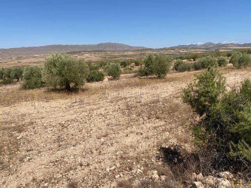 Foto b395ce1d-0aa4-415d-965f-944531a0de56. Finca rústica a Jumilla