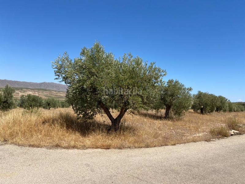 Foto be11c6be-0e49-4584-990f-f472ee8c7270. Finca rústica a Jumilla