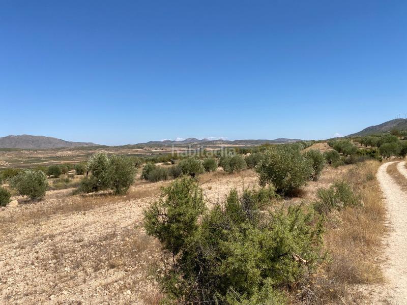 Foto c4620a12-f007-4644-97e2-e07f15ef87e6. Finca rústica a Jumilla