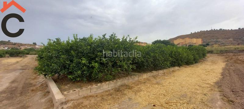 Foto 766cb352-6204-4b23-b1c0-ca673cf9d27f. Finca rústica se vende parcela rustica en Monteagudo. en Murcia