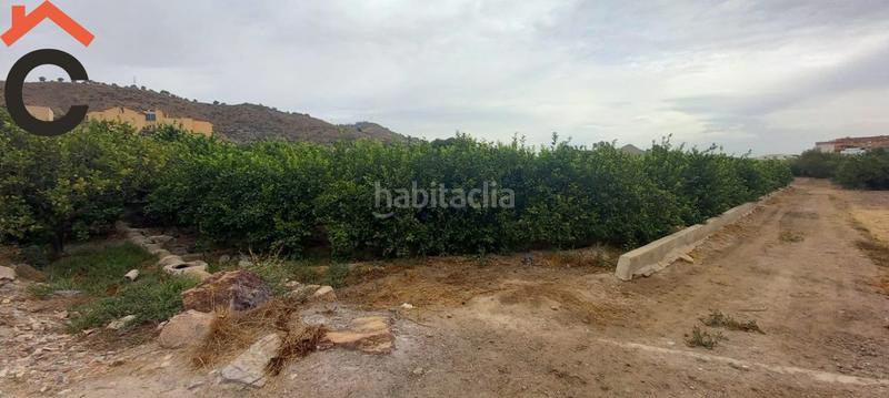 Foto 8efb8d1d-705f-40a2-8eb2-cadbe5fef8a6. Finca rústica se vende parcela rustica en Monteagudo. en Murcia