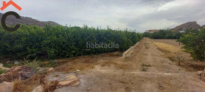 Foto f3499b81-4753-489c-870b-4bc5ee0be522. Finca rústica se vende parcela rustica en Monteagudo. en Murcia