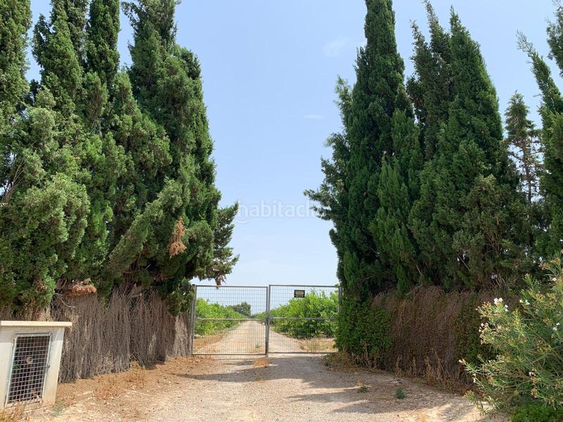 Foto 02533541-9e8a-40b2-9aaa-594a61dd6a4d. Rural plot in Albatera