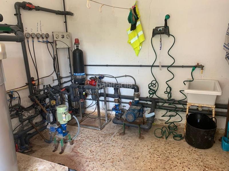 Foto 12ba78df-c46c-4c42-95f5-af05e4d8b120. Rural plot in Albatera