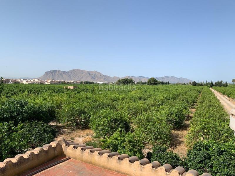 Foto 149d5217-3a63-4582-ab02-060e62fbdc0e. Rural plot in Albatera