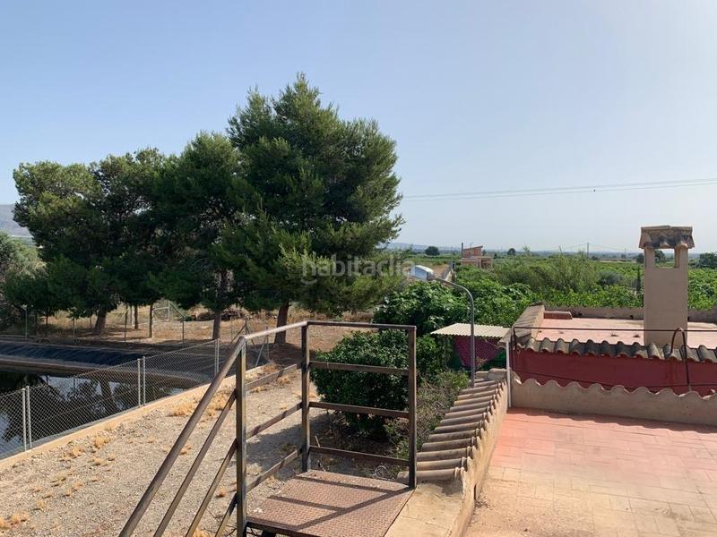 Foto 1a5dc254-a37e-4ddd-bf7b-71616532bace. Rural plot in Albatera