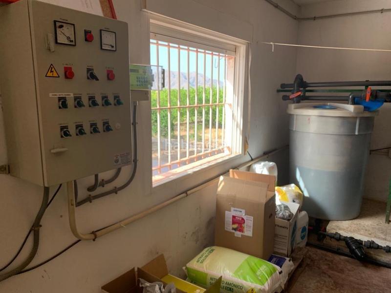 Foto 1f58b54b-a3d5-48e1-8e76-a4d10b848b01. Rural plot in Albatera