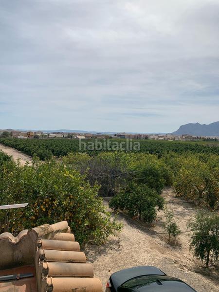 Foto 2835dd43-4e17-4899-95d8-4f122dac2d3d. Rural plot in Albatera