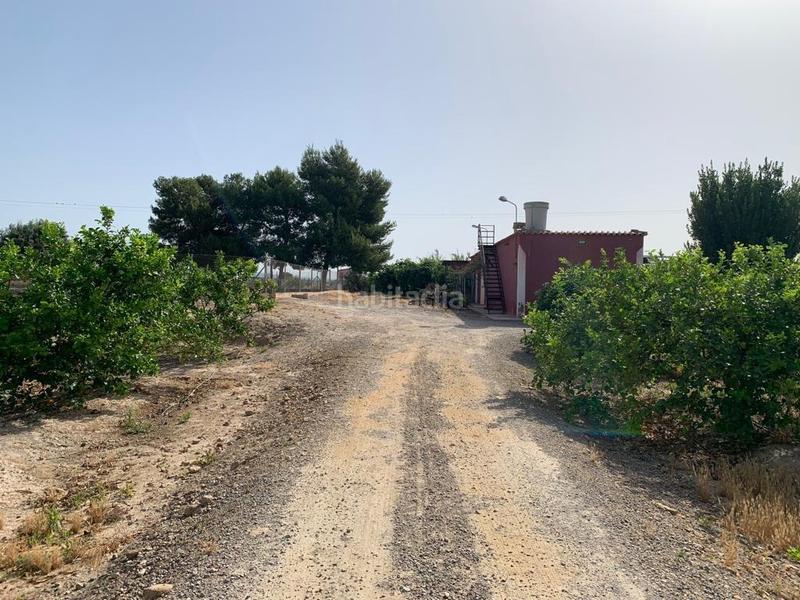 Foto 406956c1-cb9e-4b4d-9790-bac6ed440768. Rural plot in Albatera