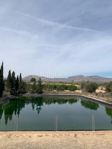 Foto 4103d311-2d7c-4652-b188-af14c42f842f. Rural plot in Albatera