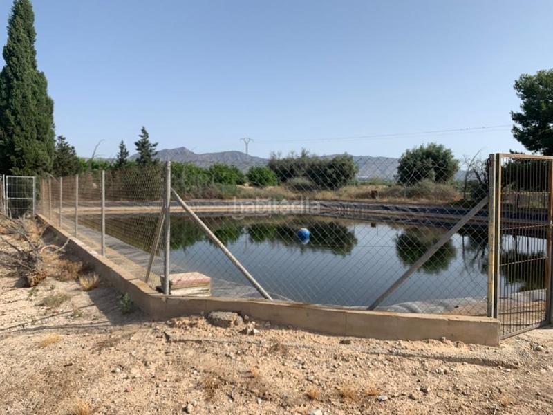 Foto 4a54128e-bc68-43f5-a605-c51134621f0f. Rural plot in Albatera