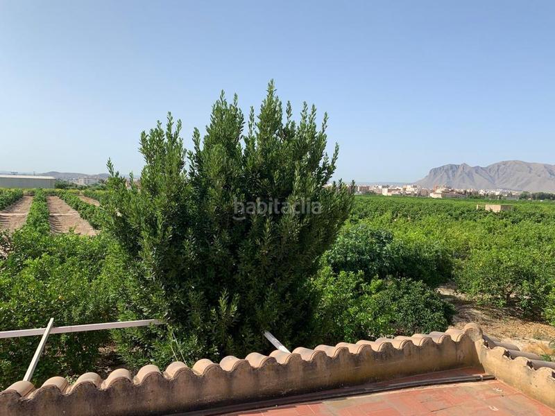 Foto 57db3f91-8af0-4d42-8ac7-c15b48c1b449. Rural plot in Albatera