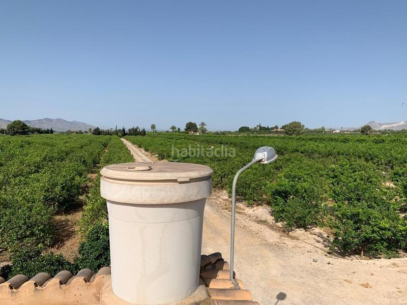 Foto 5a625f91-088b-4906-8887-ee5c23f0adb1. Rural plot in Albatera