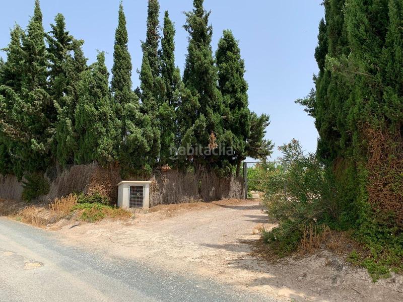 Foto 5a93dea2-f9a6-4ea3-80d5-edf4fd142932. Rural plot in Albatera