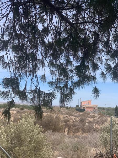 Foto 65756c1b-6d9b-487c-bb21-ac750334e3eb. Rural plot in Albatera