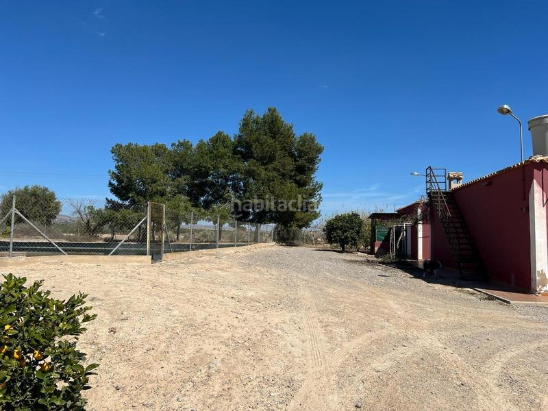 Foto 6aed939f-d9a3-4ade-98a0-f3a6b45a86ca. Rural plot in Albatera
