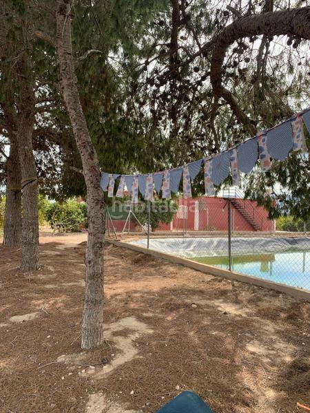 Foto 6c51b72a-4ca1-4288-a551-116078af60ce. Rural plot in Albatera