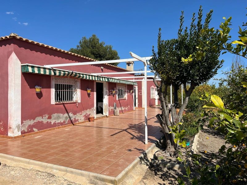 Foto 9ea18e63-c0af-451d-b143-0d9ca5a88906. Finca rústica a Albatera