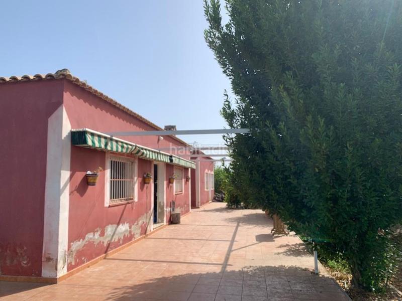 Foto aab658e5-1b38-4c3a-957b-2b9fe25609bc. Rural plot in Albatera