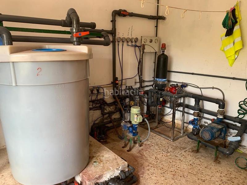 Foto ab478e67-132e-48c7-a0f9-adc808f64b46. Rural plot in Albatera