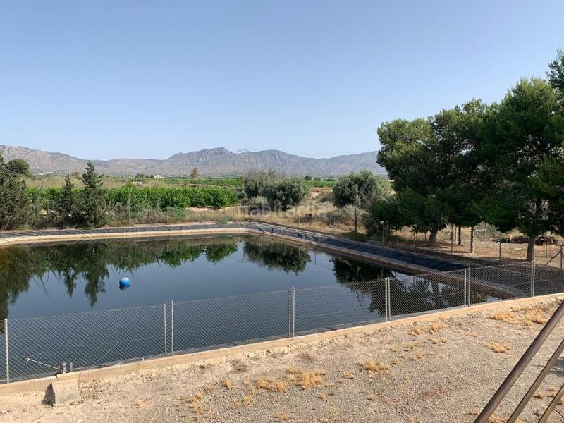 Foto b139bd4b-5a25-4e07-ae36-f1c121881669. Rural plot in Albatera