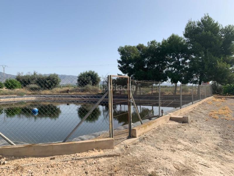 Foto c100dab1-afd4-4d0a-8950-fb7bbaff38f5. Rural plot in Albatera