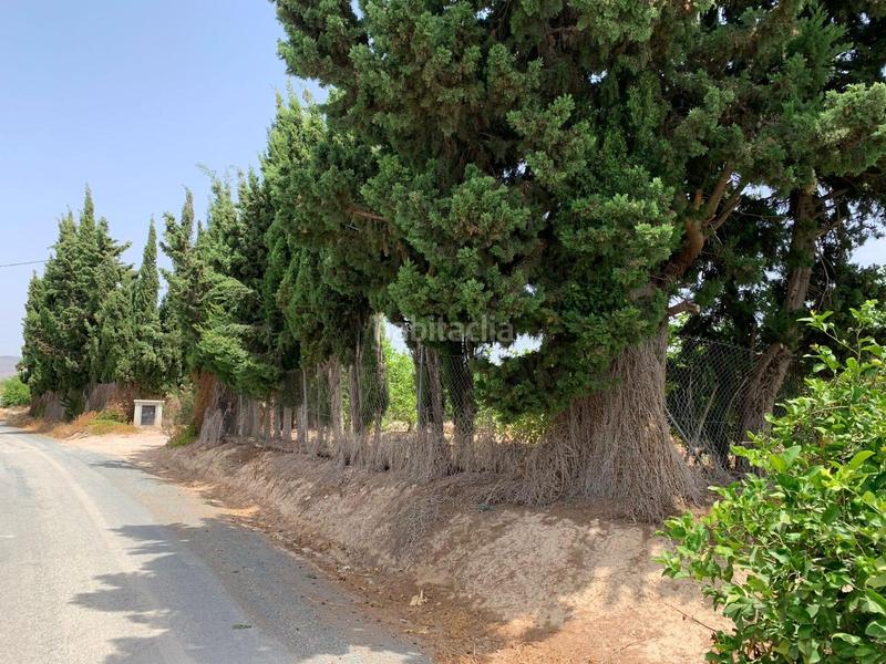 Foto d6e53792-a2f0-4fbf-b718-7476fcd493f4. Rural plot in Albatera