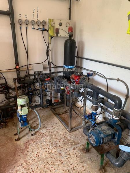 Foto e4d53576-60aa-4366-87c9-6cfa09355817. Rural plot in Albatera