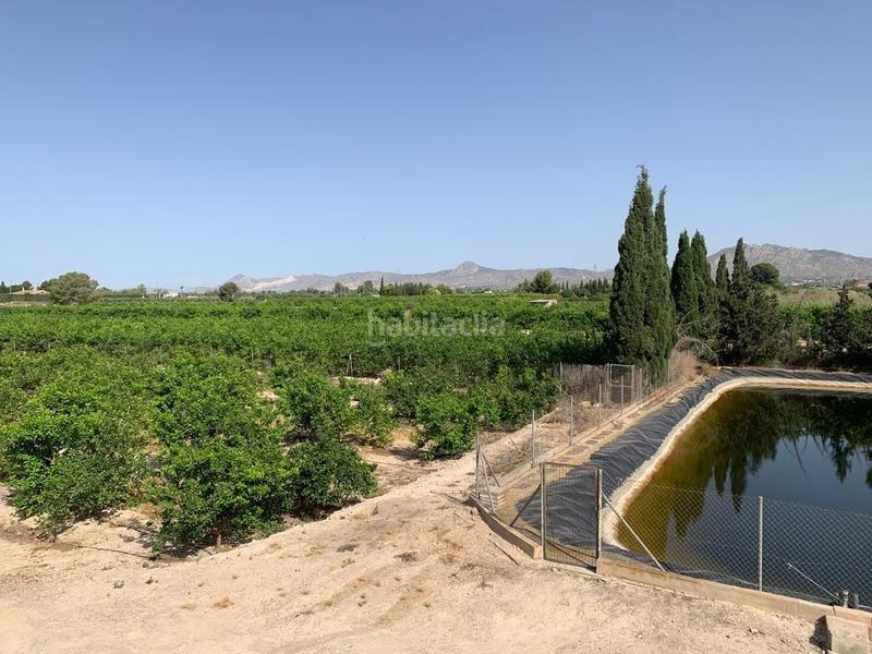 Foto ea4f7a34-9c2b-454a-bf41-d23844d787e9. Rural plot in Albatera