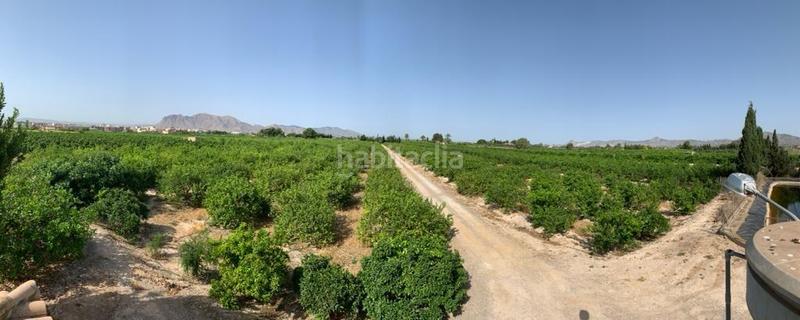 Foto ffb6d92c-c7c4-40a4-a8f8-d277b3aa4926. Rural plot in Albatera