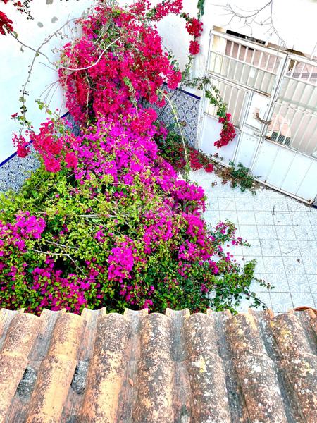 Foto f2c1e234-46d5-4941-94e2-ed24a071957d. Maison dans Monteagudo Murcia