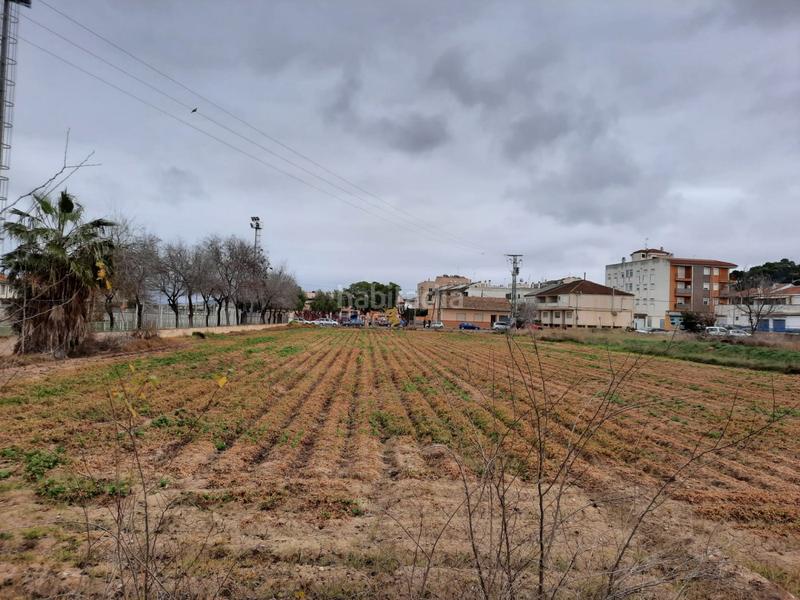 Foto 31df851a-e378-4bac-af30-ca2f1a9c8eaf. Terreno residenziale in Zeneta Murcia