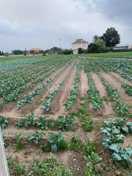 Foto 1967746c-4177-4fea-bbac-3050f1f2da10. Residential plot in Santa Cruz Murcia