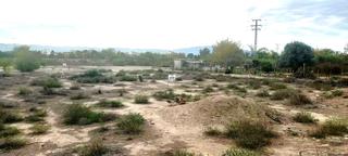 Finca rústica en Puebla de Soto. Parcela rústica junto al  río