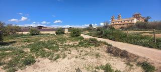 Finca rústica a Guadalupe. Se vende parcela rustica en guadalupe.