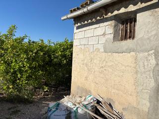 Finca rústica a Monteagudo. Se vende bonito huerto de limoneros entre al cueva y  el esparra