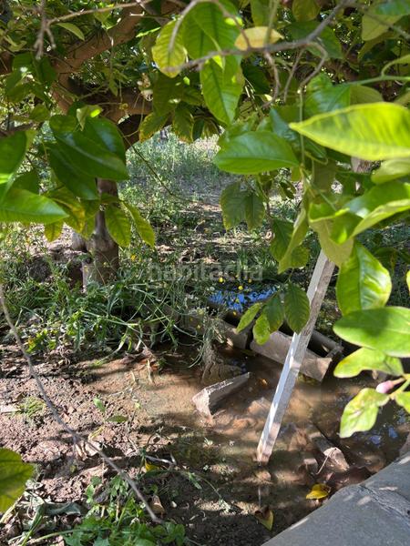 Foto 1fb31df3-ebce-4e35-a429-5a209e5b051c. Landgut in Monteagudo Murcia