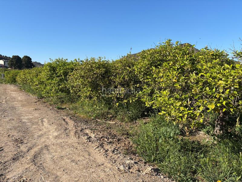 Foto 8e6259ef-c76c-46b8-84a7-df2b16c3f28a. Landgut in Monteagudo Murcia