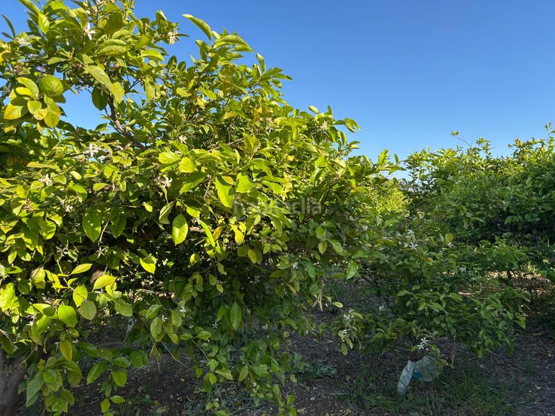 Foto c653e083-76e3-4852-ab0f-809836410bfd. Landgut in Monteagudo Murcia