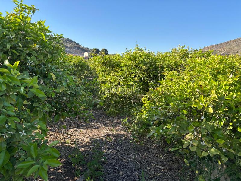 Foto e781a596-a17c-4b12-82c4-b5fe0d899dc3. Landgut in Monteagudo Murcia