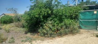 Masia a Javalí Viejo. Se vende parcela  de cultivo con cuarto en javali viejo.