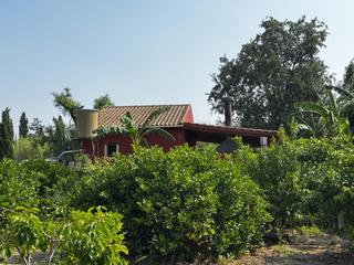Masia a Javalí Viejo. Se vende parcelica de recreo con casa en la huerta de javali vie