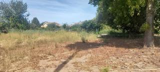 Fondo rustico in La Raya. Se vende terreno rustico en rincón de seca.