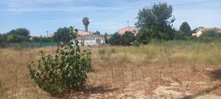 Rural plot in La Raya. Se vende terreno rustico en rincón de seca.