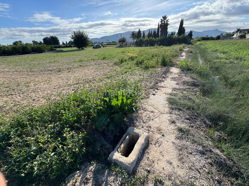 Foto 83808332-56df-4df4-973d-30d8089b45cc. Propriété dans Llano de Brujas Murcia