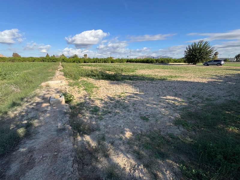 Foto ac1e5ee1-69a8-4221-b536-55c2e7a7e2f6. Finca rústica a Llano de Brujas Murcia